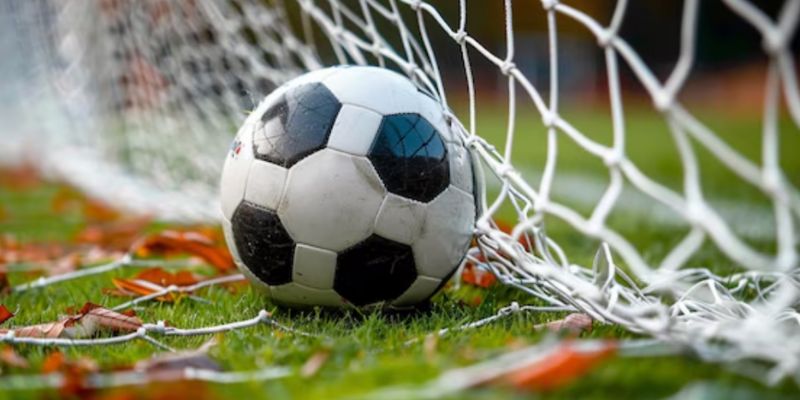 Đội Hình Newcastle - Sơ Đồ Chiến Thuật Biến Hóa Linh Hoạt Các ngôi sao hàng công luôn biết cách tỏa sáng